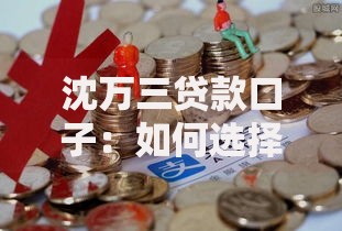 沈万三贷款口子：如何选择正规低息渠道？