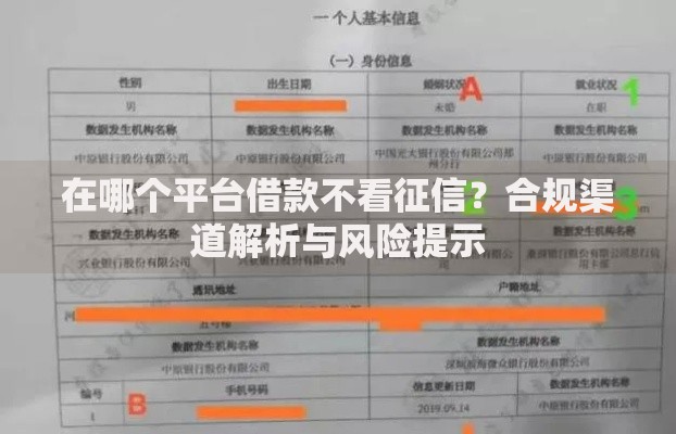 在哪个平台借款不看征信？合规渠道解析与风险提示