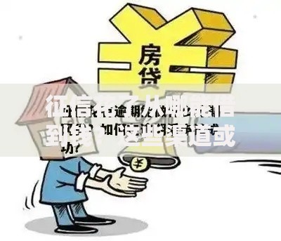 征信花了从哪能借到钱？这些渠道或许能帮到你