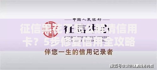 征信黑花了怎么解清信用卡？5步修复信用全攻略