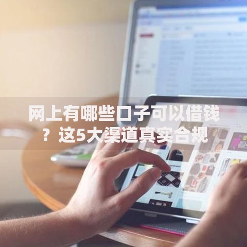 网上有哪些口子可以借钱？这5大渠道真实合规