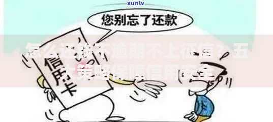 怎么还钱不逾期不上征信？五大策略保障信用安全