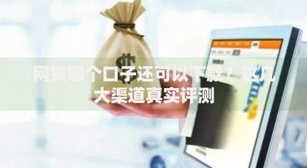 网贷哪个口子还可以下款？这几大渠道真实评测