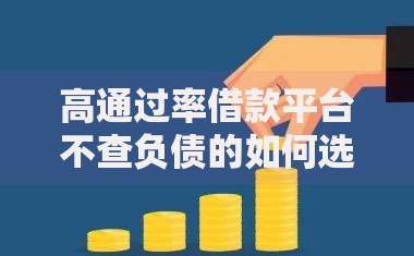 高通过率借款平台不查负债的如何选择？权威推荐指南
