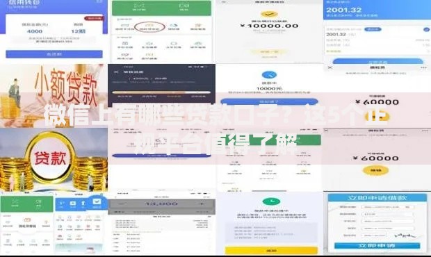 微信上有哪些贷款口子？这5个正规平台值得了解