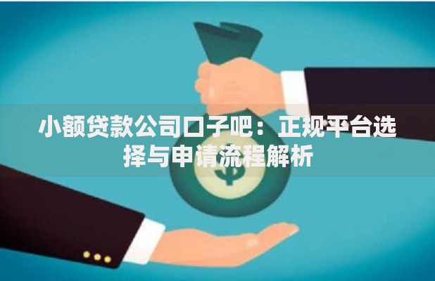 小额贷款公司口子吧：正规平台选择与申请流程解析