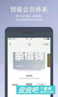 私人周条借钱app官网如何快速申请？安全可靠吗？