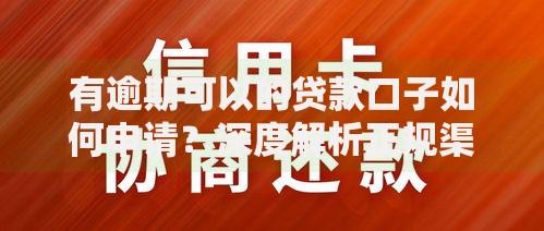有逾期可以的贷款口子如何申请？深度解析正规渠道