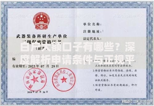 白户大额口子有哪些？深度解析申请条件与正规平台推荐
