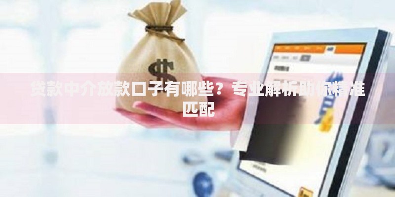 贷款中介放款口子有哪些？专业解析助你精准匹配