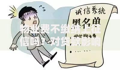 物业费不缴纳上征信吗？对贷款影响深度解析