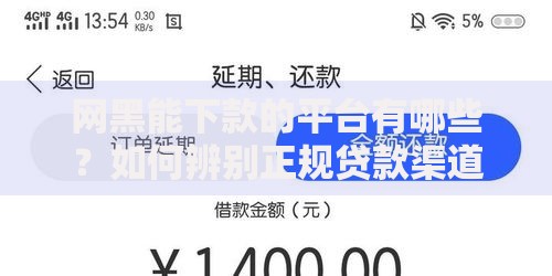 网黑能下款的平台有哪些？如何辨别正规贷款渠道