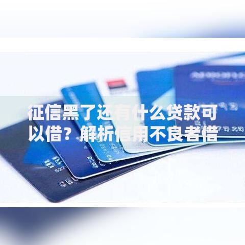 征信黑了还有什么贷款可以借?解析信用不良者借贷方案 征信黑了还有什么贷款可以借?解析信用不良者借贷方案
