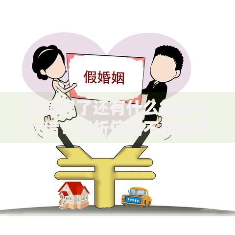 征信黑了还有什么贷款可以借?解析信用不良者借贷方案 征信黑了还有什么贷款可以借?解析信用不良者借贷方案