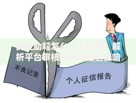 民生助粒怎么不上征信？解析平台审核机制与征信影响