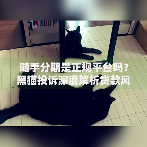 随手分期是正规平台吗？黑猫投诉深度解析贷款风险