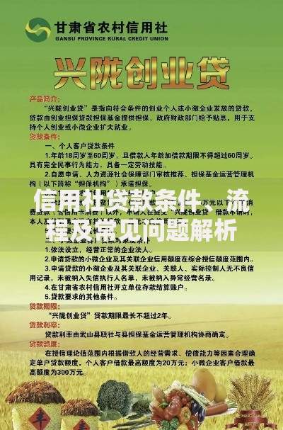 信用社贷款条件、流程及常见问题解析