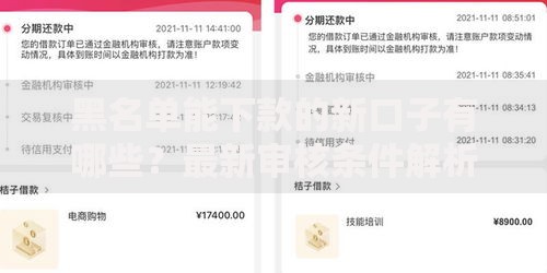 黑名单能下款的新口子有哪些？最新审核条件解析