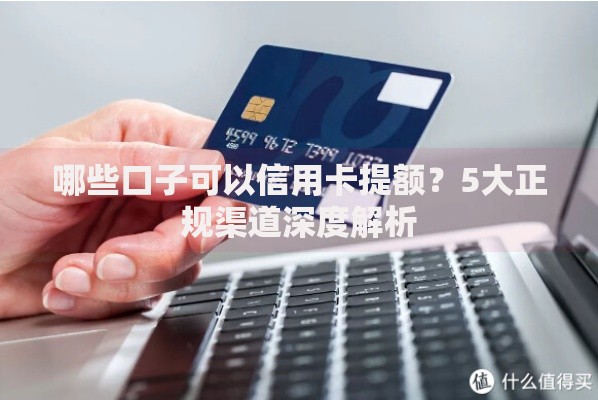 哪些口子可以信用卡提额？5大正规渠道深度解析