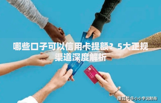 哪些口子可以信用卡提额？5大正规渠道深度解析