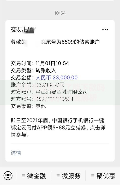 恒易贷征信花了能下款吗？审核条件深度解析