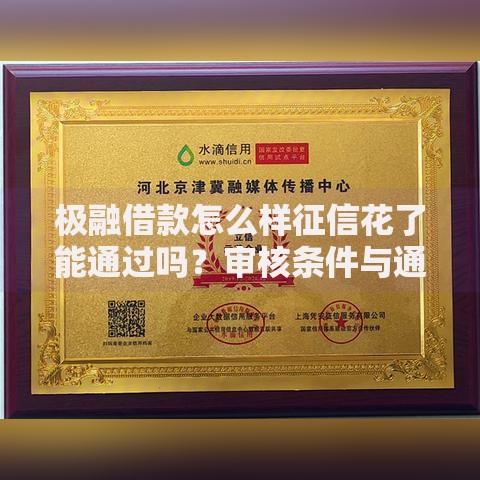 极融借款怎么样征信花了能通过吗？审核条件与通过技巧解析