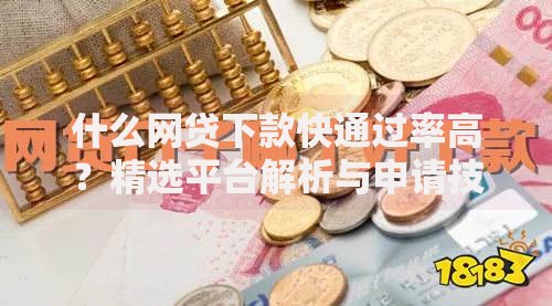 什么网贷下款快通过率高？精选平台解析与申请技巧