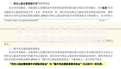 金桔银信口子不错哪里借？正规平台选择与申请指南