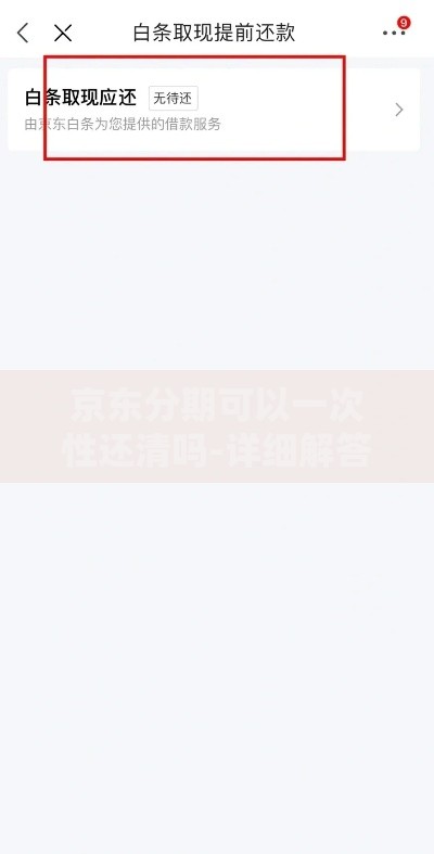 京东分期可以一次性还清吗-详细解答与操作指南