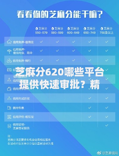 芝麻分620哪些平台提供快速审批？精选方案解析