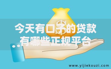 今天有口子的贷款有哪些正规平台可申请？