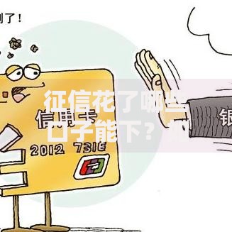 征信花了哪些口子能下？如何解决征信问题？
