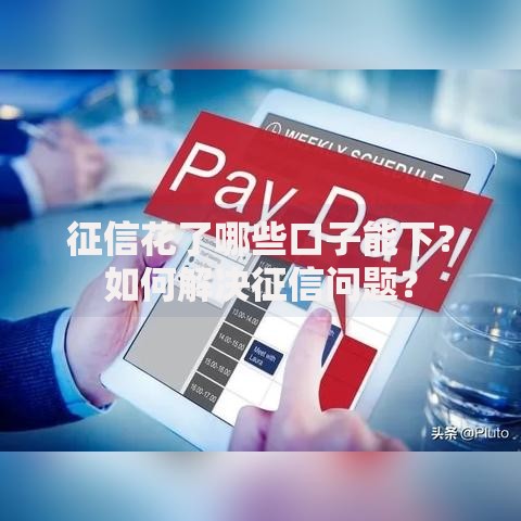 征信花了哪些口子能下？如何解决征信问题？