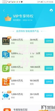 芝麻分610网贷口子最多能贷多少？额度解析与申请策略