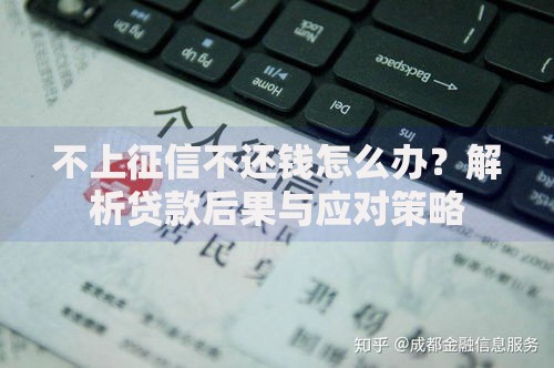 不上征信不还钱怎么办？解析贷款后果与应对策略