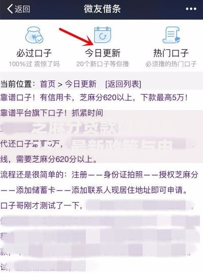 芝麻分贷款口子2025:最新政策与申请攻略 芝麻分贷款口子2025:最新政策与申请攻略