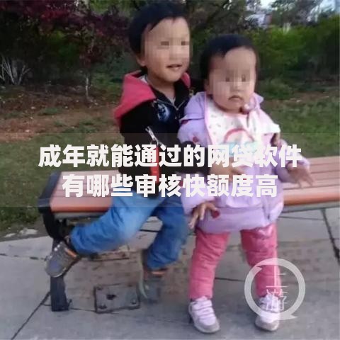 成年就能通过的网贷软件有哪些审核快额度高