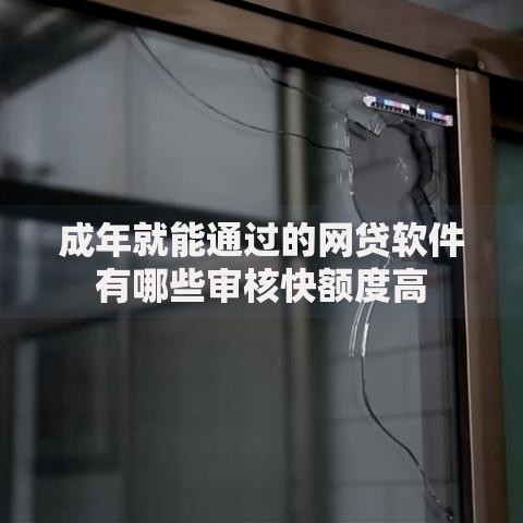 成年就能通过的网贷软件有哪些审核快额度高