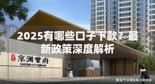 2025有哪些口子下款？最新政策深度解析