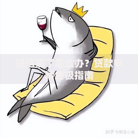 征信黑了怎么办？贷款申请终极指南
