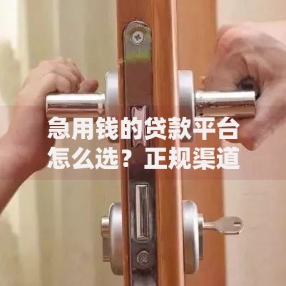 急用钱的贷款平台怎么选？正规渠道与避坑指南