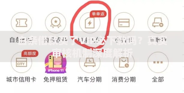 白条借款买了VIP必下款吗？真实审核机制深度解析