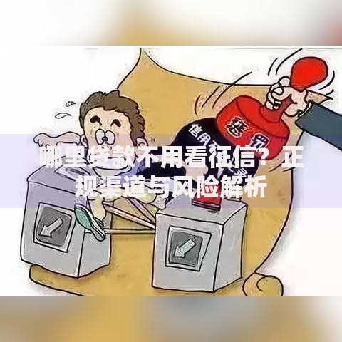 哪里贷款不用看征信？正规渠道与风险解析
