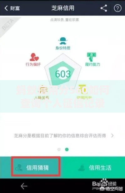蚂蚁信用分560如何查询个人征信记录？权威指南解析