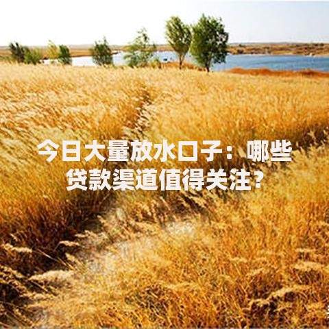 今日大量放水口子：哪些贷款渠道值得关注？