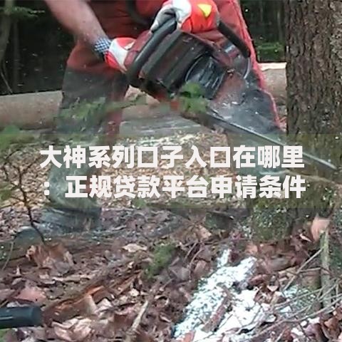 大神系列口子入口在哪里：正规贷款平台申请条件及安全指南