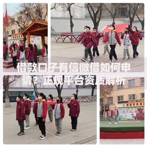借款口子有信微借如何申请？正规平台资质解析