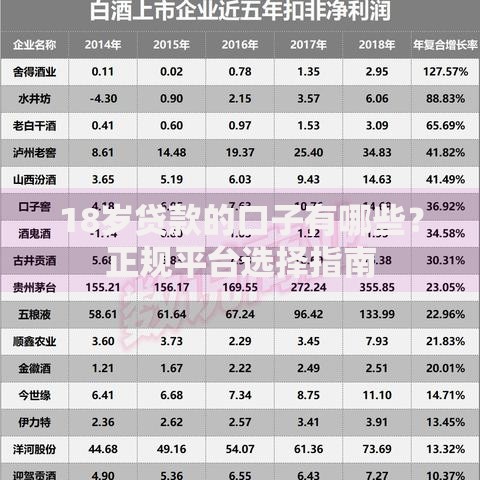 18岁贷款的口子有哪些？正规平台选择指南