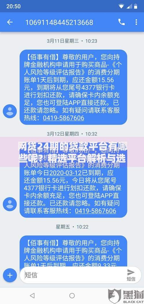 网贷24期的贷款平台有哪些呢？精选平台解析与选择指南
