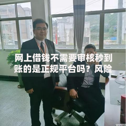 网上借钱不需要审核秒到账的是正规平台吗?风险与真相解析 网上借钱不需要审核秒到账的是正规平台吗?风险与真相解析